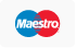 maestro logo